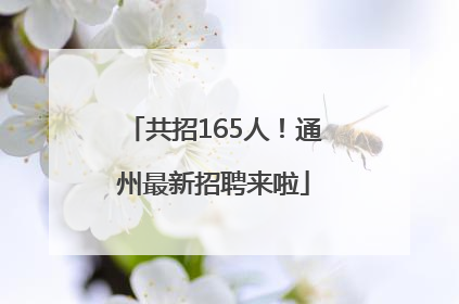共招165人！通州最新招聘来啦