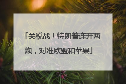 关税战！特朗普连开两炮，对准欧盟和苹果