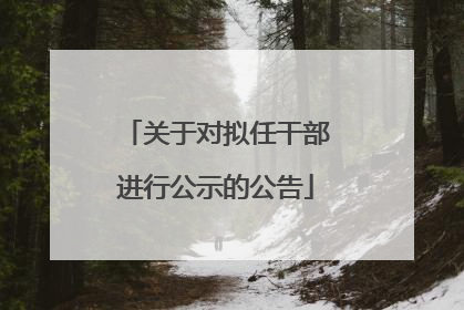 关于对拟任干部进行公示的公告