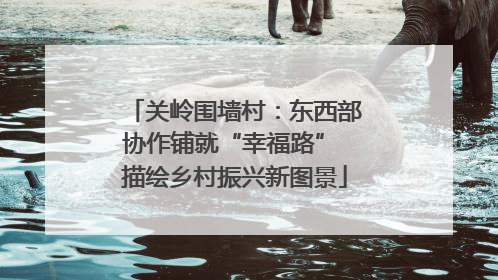 关岭围墙村：东西部协作铺就“幸福路” 描绘乡村振兴新图景