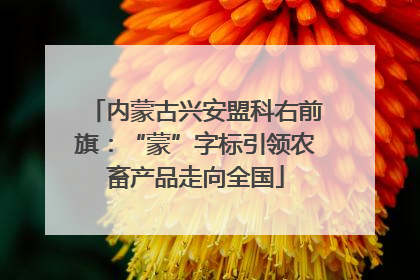 内蒙古兴安盟科右前旗：“蒙”字标引领农畜产品走向全国