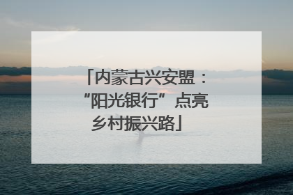 内蒙古兴安盟：“阳光银行”点亮乡村振兴路