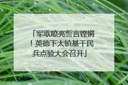 军歌嘹亮誓言铿锵！英德下太镇基干民兵点验大会召开