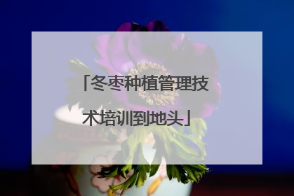冬枣种植管理技术培训到地头