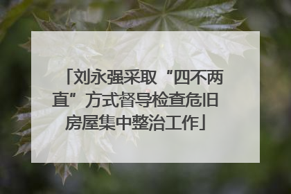 刘永强采取“四不两直”方式督导检查危旧房屋集中整治工作
