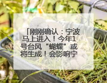 刚刚确认：宁波马上进入！今年1号台风“蝴蝶”或将生成！会影响宁波吗？