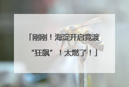刚刚！海淀开启竞渡“狂飙”！太燃了！