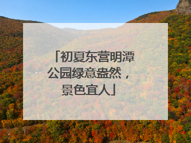 初夏东营明潭公园绿意盎然，景色宜人