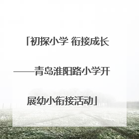 初探小学 衔接成长——青岛淮阳路小学开展幼小衔接活动