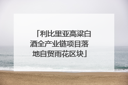 利比里亚高粱白酒全产业链项目落地自贸雨花区块