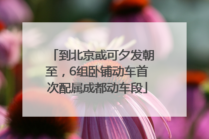 到北京或可夕发朝至，6组卧铺动车首次配属成都动车段