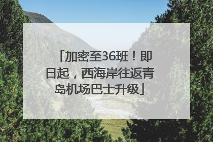 加密至36班！即日起，西海岸往返青岛机场巴士升级