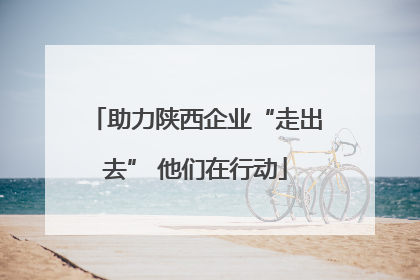 助力陕西企业“走出去” 他们在行动