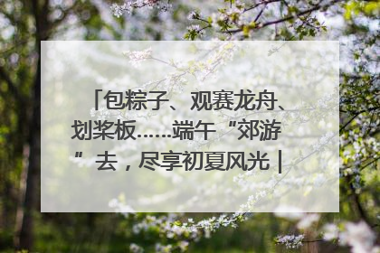 包粽子、观赛龙舟、划桨板……端午“郊游”去，尽享初夏风光｜端午氛围最浓时①