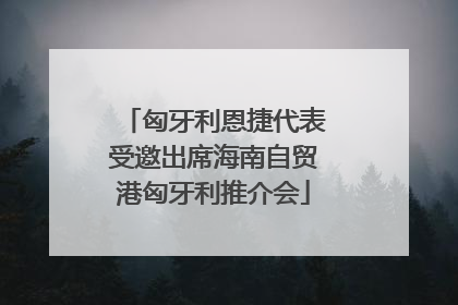 匈牙利恩捷代表受邀出席海南自贸港匈牙利推介会