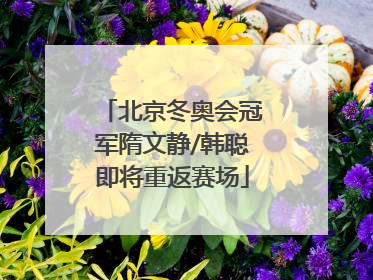 北京冬奥会冠军隋文静/韩聪即将重返赛场