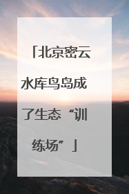 北京密云水库鸟岛成了生态“训练场”