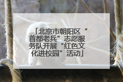 北京市朝阳区“首都老兵”志愿服务队开展“红色文化进校园”活动