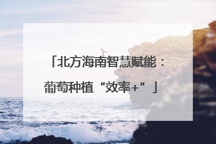 北方海南智慧赋能：葡萄种植“效率+”