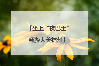 坐上“夜巴士” 畅游大美林州