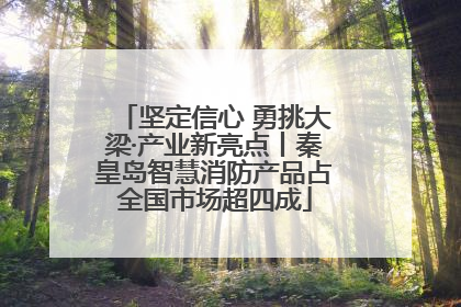 坚定信心 勇挑大梁·产业新亮点丨秦皇岛智慧消防产品占全国市场超四成