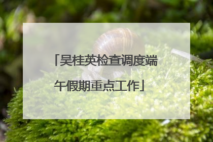 吴桂英检查调度端午假期重点工作