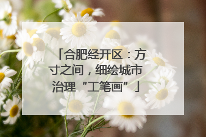 合肥经开区：方寸之间，细绘城市治理“工笔画”