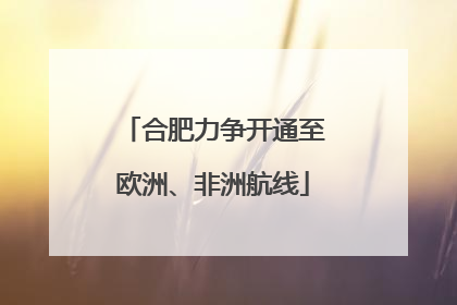 合肥力争开通至欧洲、非洲航线