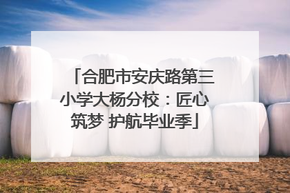 合肥市安庆路第三小学大杨分校：匠心筑梦 护航毕业季