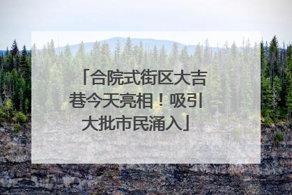 合院式街区大吉巷今天亮相！吸引大批市民涌入