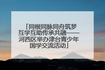 同根同脉同舟筑梦 互学互助传承共融——河西区举办津台青少年国学交流活动
