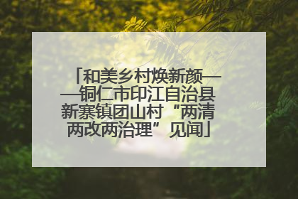 和美乡村焕新颜——铜仁市印江自治县新寨镇团山村“两清两改两治理”见闻