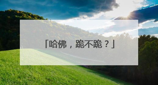 哈佛，跪不跪？