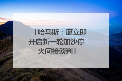 哈马斯：愿立即开启新一轮加沙停火间接谈判