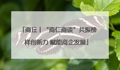 商丘丨“商仁商谈”共振榜样创新力 赋能商企发展