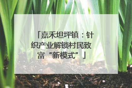 嘉禾坦坪镇：针织产业解锁村民致富“新模式”