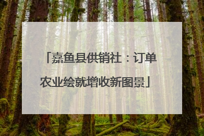 嘉鱼县供销社：订单农业绘就增收新图景