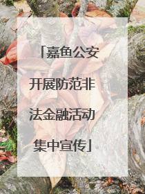 嘉鱼公安开展防范非法金融活动集中宣传