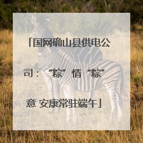 国网确山县供电公司：“粽”情“粽”意 安康常驻端午