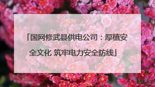 国网修武县供电公司：厚植安全文化 筑牢电力安全防线