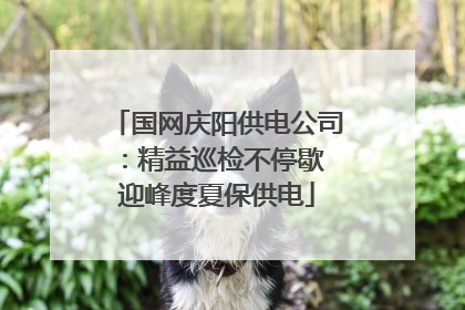 国网庆阳供电公司：精益巡检不停歇 迎峰度夏保供电