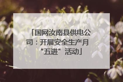 国网汝南县供电公司：开展安全生产月“五进”活动