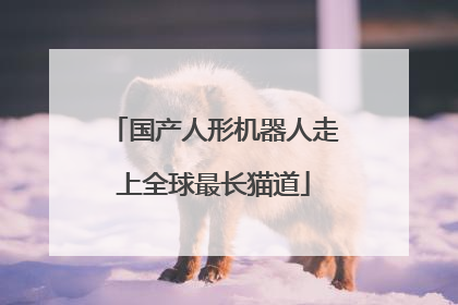 国产人形机器人走上全球最长猫道