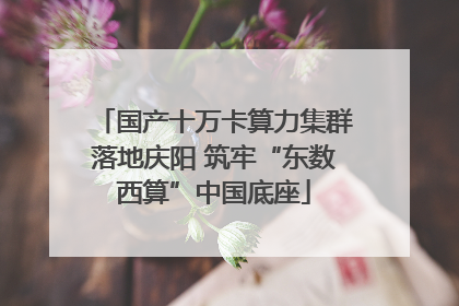 国产十万卡算力集群落地庆阳 筑牢“东数西算”中国底座