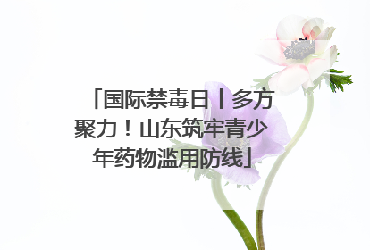 国际禁毒日丨多方聚力！山东筑牢青少年药物滥用防线