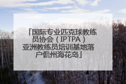国际专业匹克球教练员协会（IPTPA）亚洲教练员培训基地落户儋州海花岛