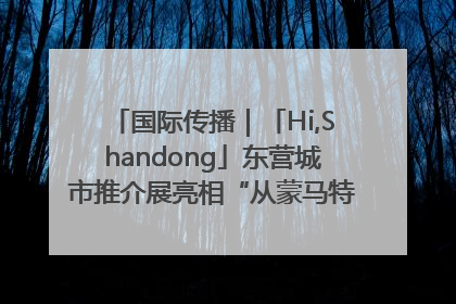 国际传播｜「Hi,Shandong」东营城市推介展亮相“从蒙马特到加里波第”文化节