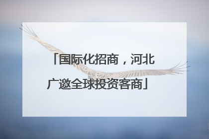国际化招商，河北广邀全球投资客商