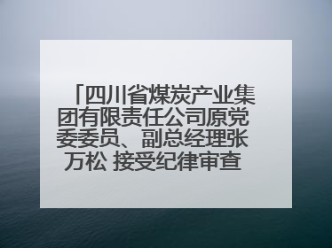四川省煤炭产业集团有限责任公司原党委委员、副总经理张万松 接受纪律审查和监察调查