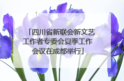 四川省新联会新文艺工作者专委会夏季工作会议在成都举行
